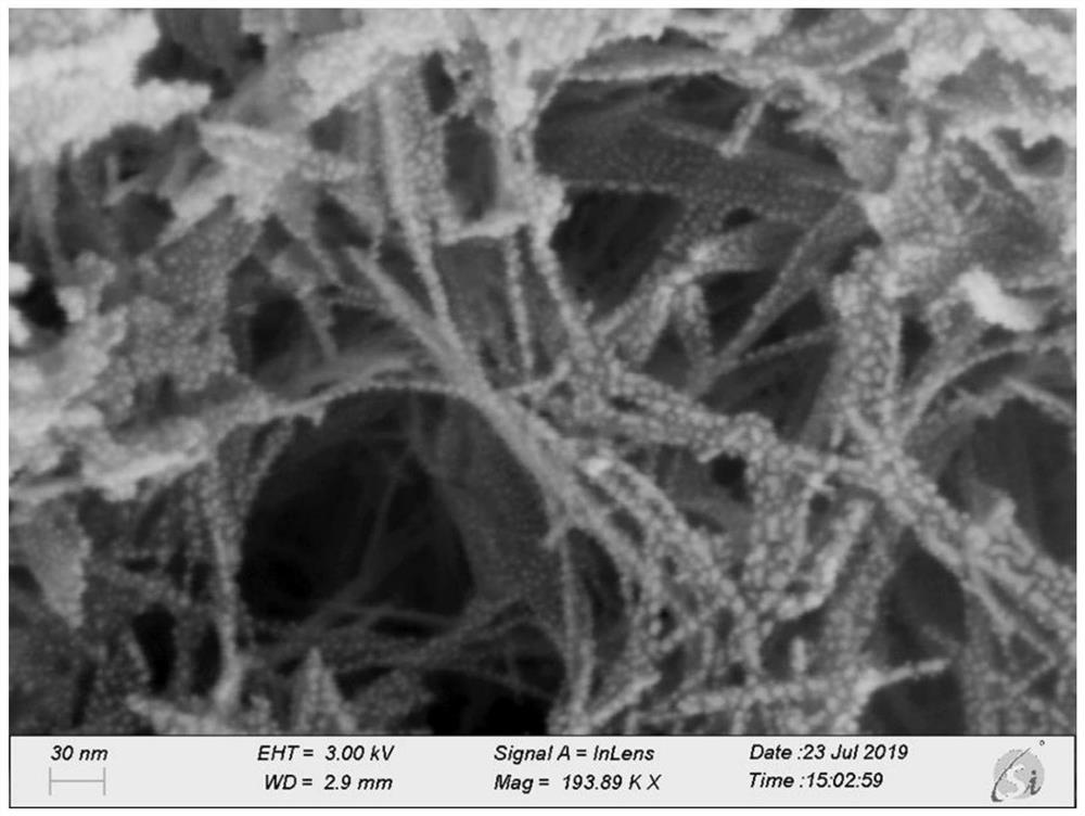 Graphene quantum dot composite titanium dioxide nanotube photocatalyst and preparation method thereof