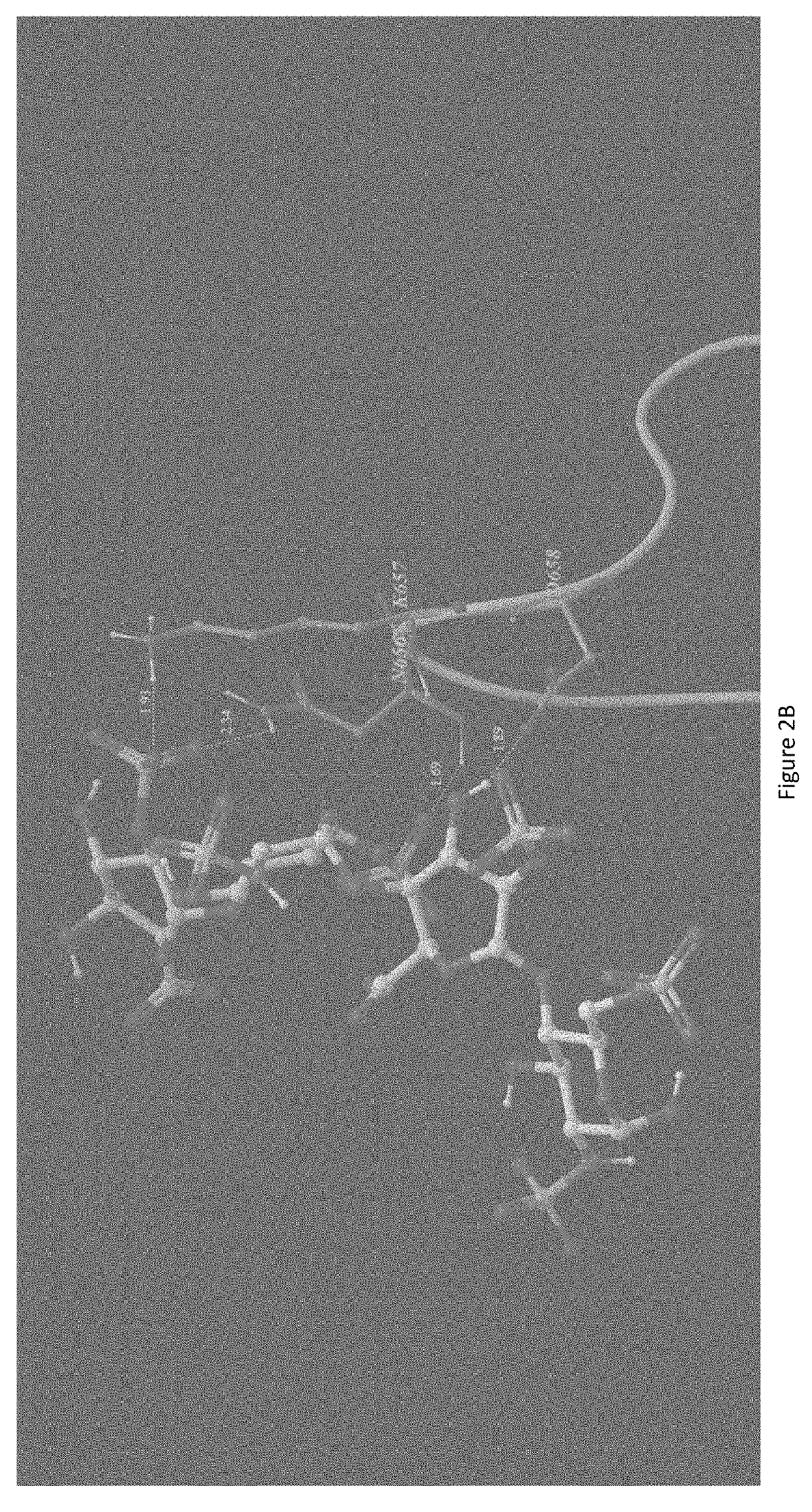 Antidote for Chondroitinase