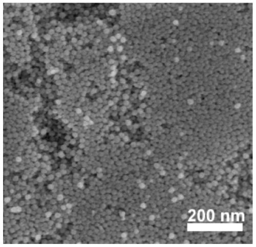 A kind of targeting anchoring agent of sulfide in oil product and preparation method and application thereof