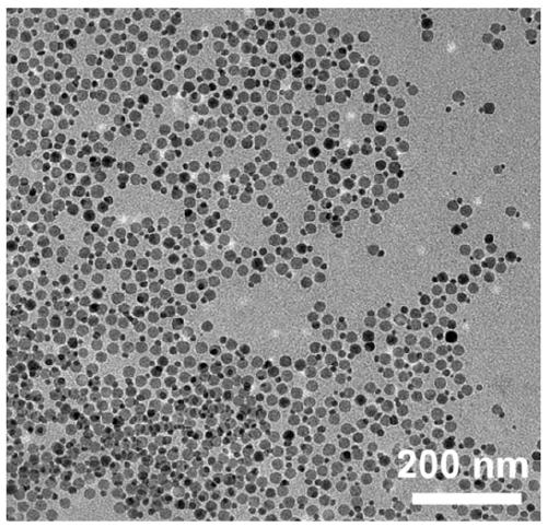 A kind of targeting anchoring agent of sulfide in oil product and preparation method and application thereof