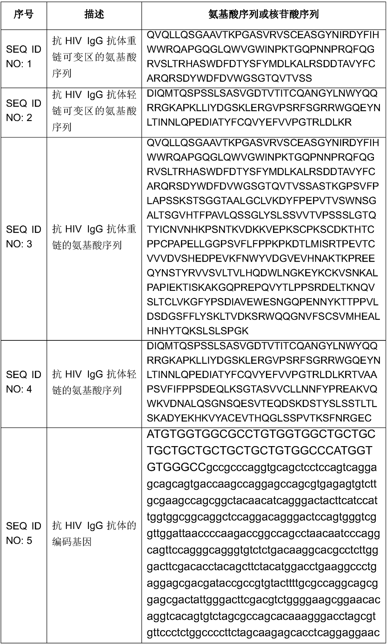 Minicircle DNA carrier expressing IgG antibody, preparation method and application thereof
