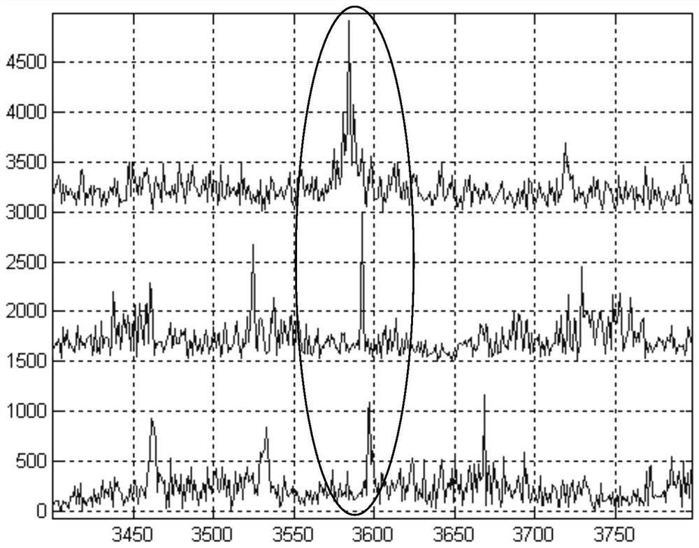 Sonar target line spectrum enhancement method based on motion compensation