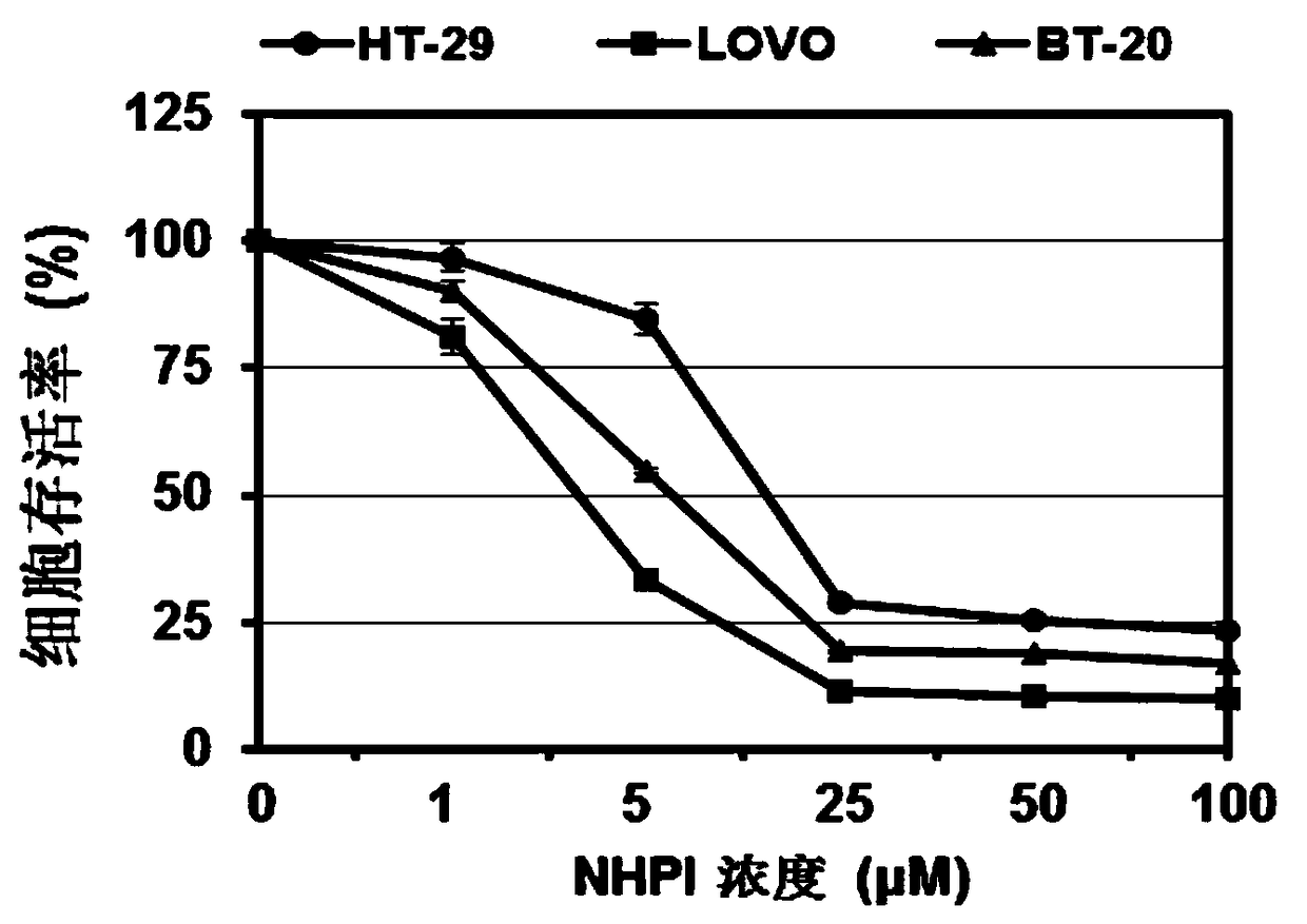 Application of n-hydroxyphthalimide compounds in the preparation of antitumor drugs