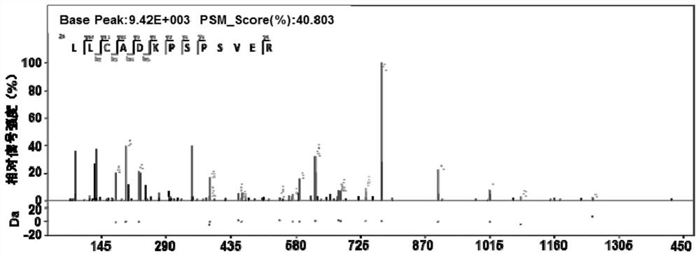 Mycobacterium tuberculosis h37rv encoding gene and its application