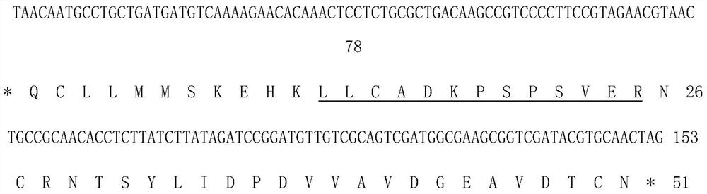 Mycobacterium tuberculosis h37rv encoding gene and its application