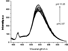 Naphthalimide fluorochrome and its preparation and application