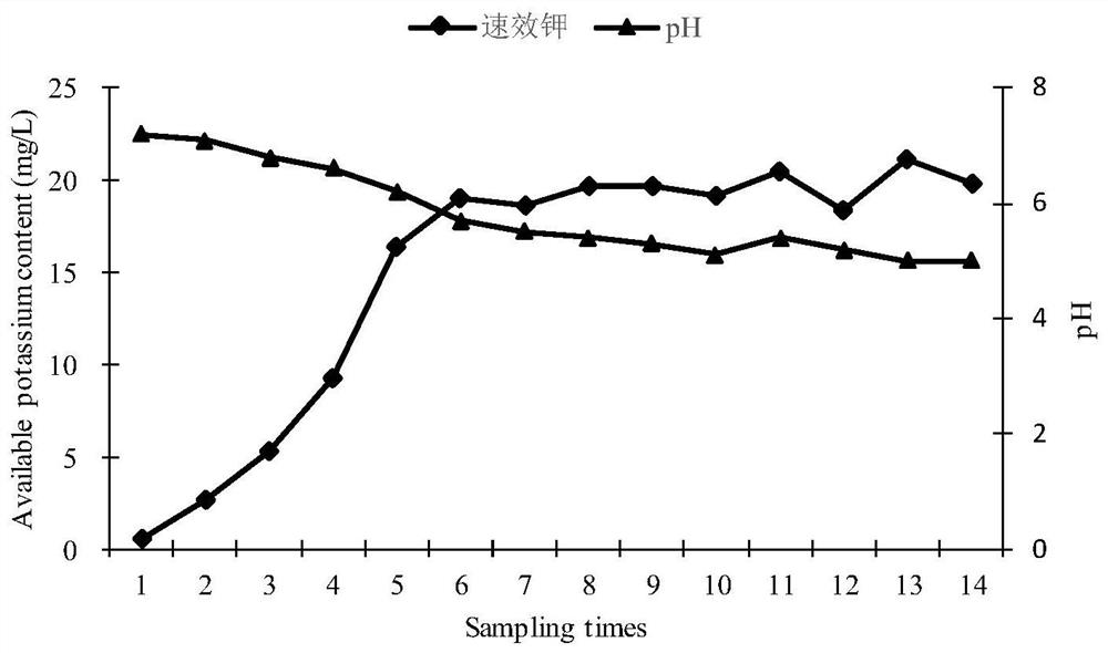 A Strain of Pseudomonas Kalolyticum and Its Application