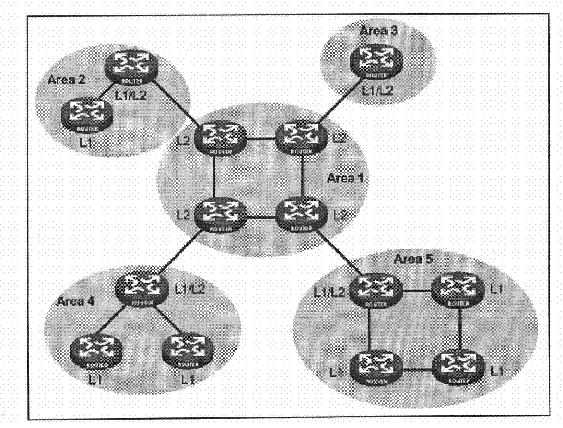 Method for storing neighbor information and device thereof