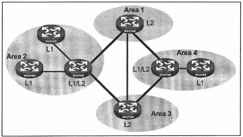 Method for storing neighbor information and device thereof