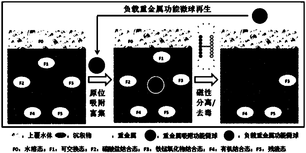 A large particle size recyclable heavy metal adsorption functional microsphere and its application