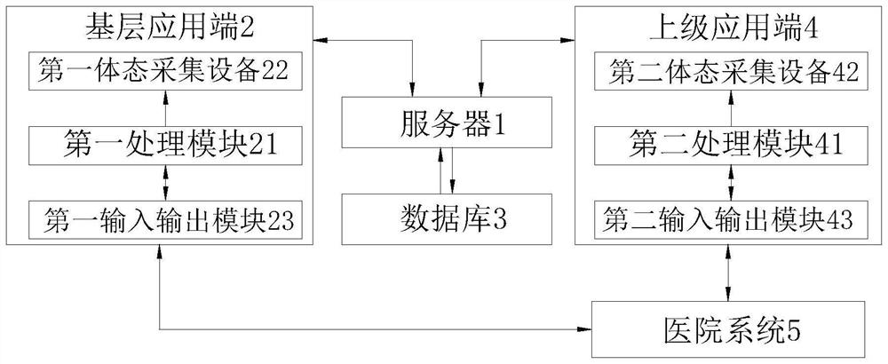 Posture acquisition and analysis system