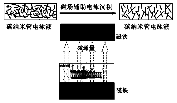 Method for preparing metallized carbon nanotube cathode by electrophoretic deposition in assistance of magnetic field