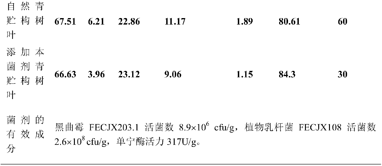 Silage paper mulberry leaf feed microbial inoculum and application method thereof