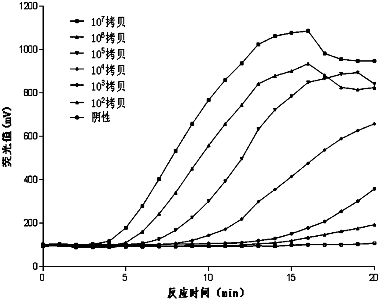 Fluorescent RAA primer, probe and detection method for detecting activity of salmonella