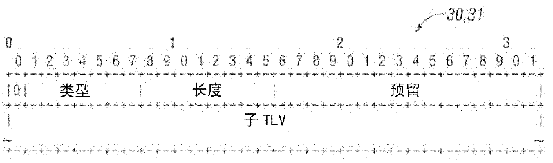 Network connection segment monitoring