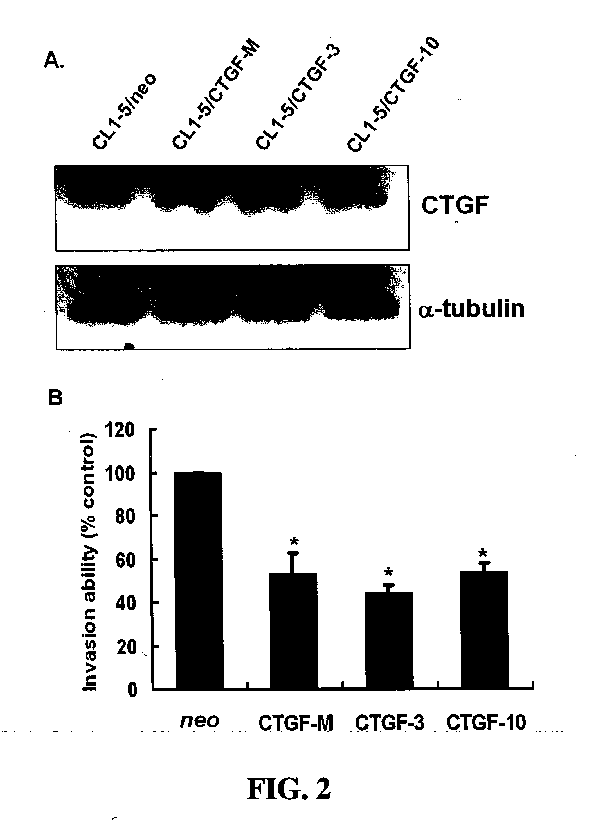 Methods and compositions for diagnosing and suppressing metastasis thereof