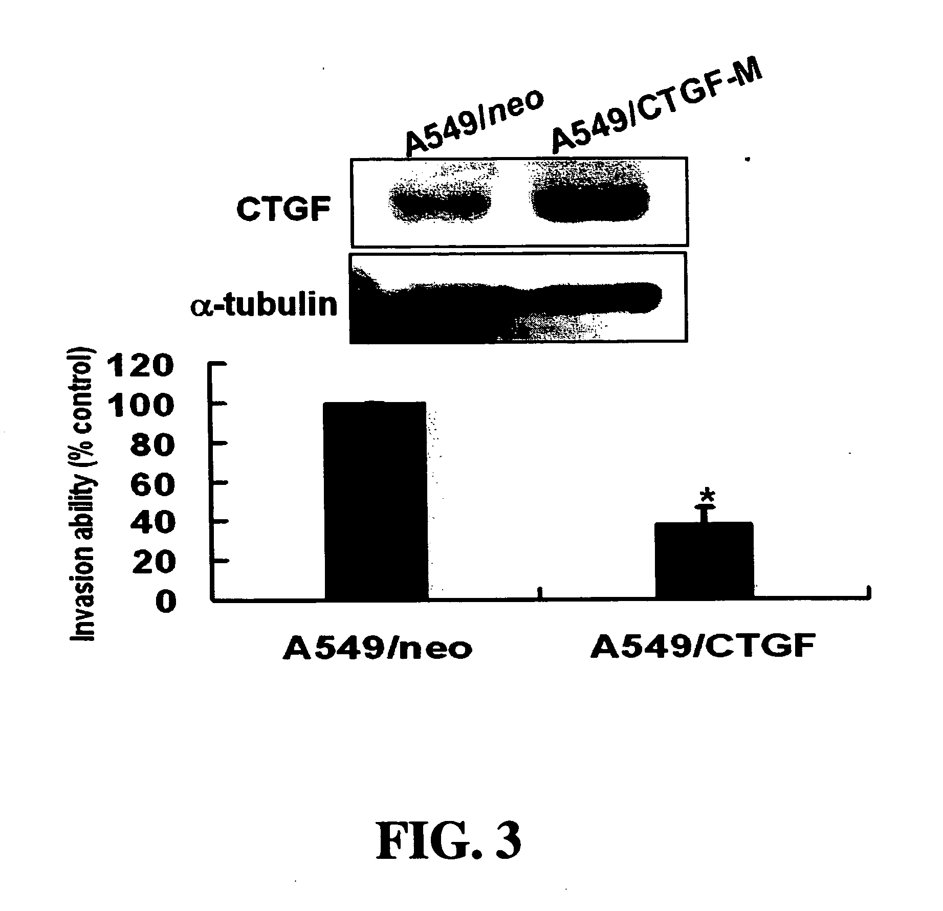 Methods and compositions for diagnosing and suppressing metastasis thereof