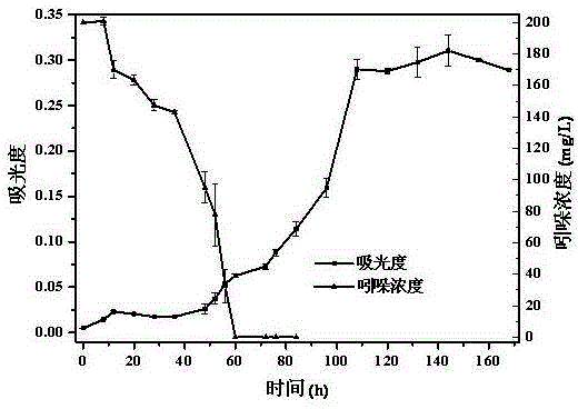 Burkholderia sp. for aerobic degradation of benzpyrole, and application of burkholderia sp.