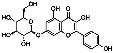 Effective part of apple flower, preparation method and method for extracting kaempferol glucoside using it