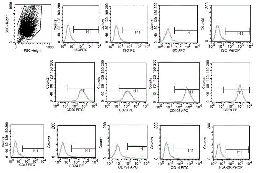 Method for acquiring bioactive proteins by utilizing umbilical cord mesenchymal stem cells