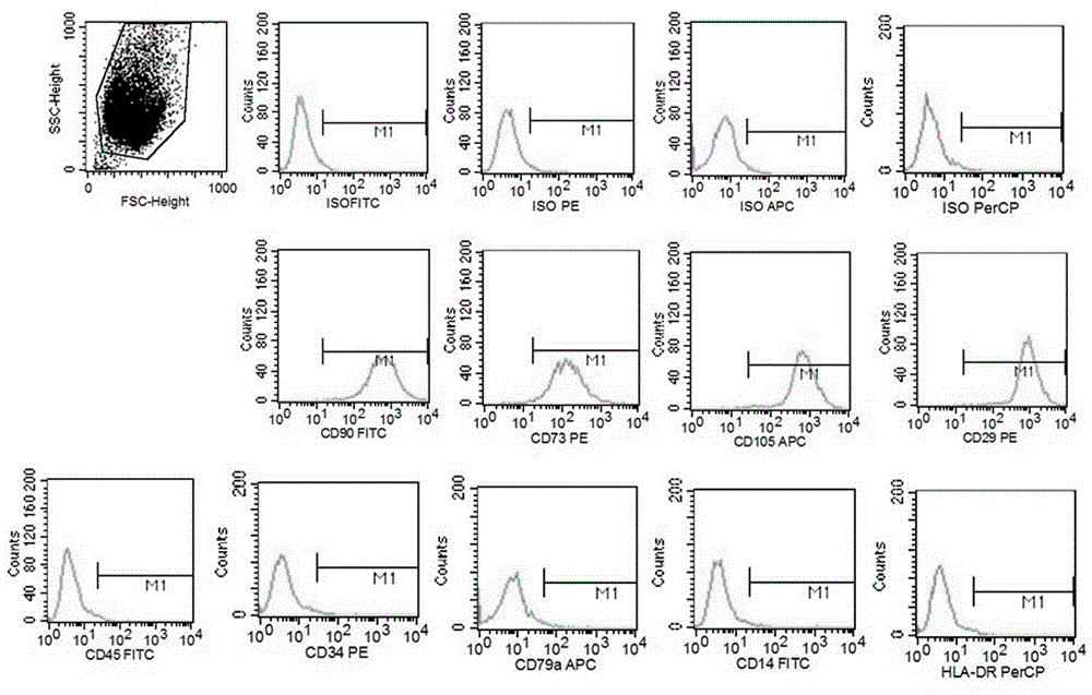 Method for acquiring bioactive proteins by utilizing umbilical cord mesenchymal stem cells
