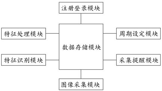 Image feature recognition system for improving curative effect of herbal Bishugao