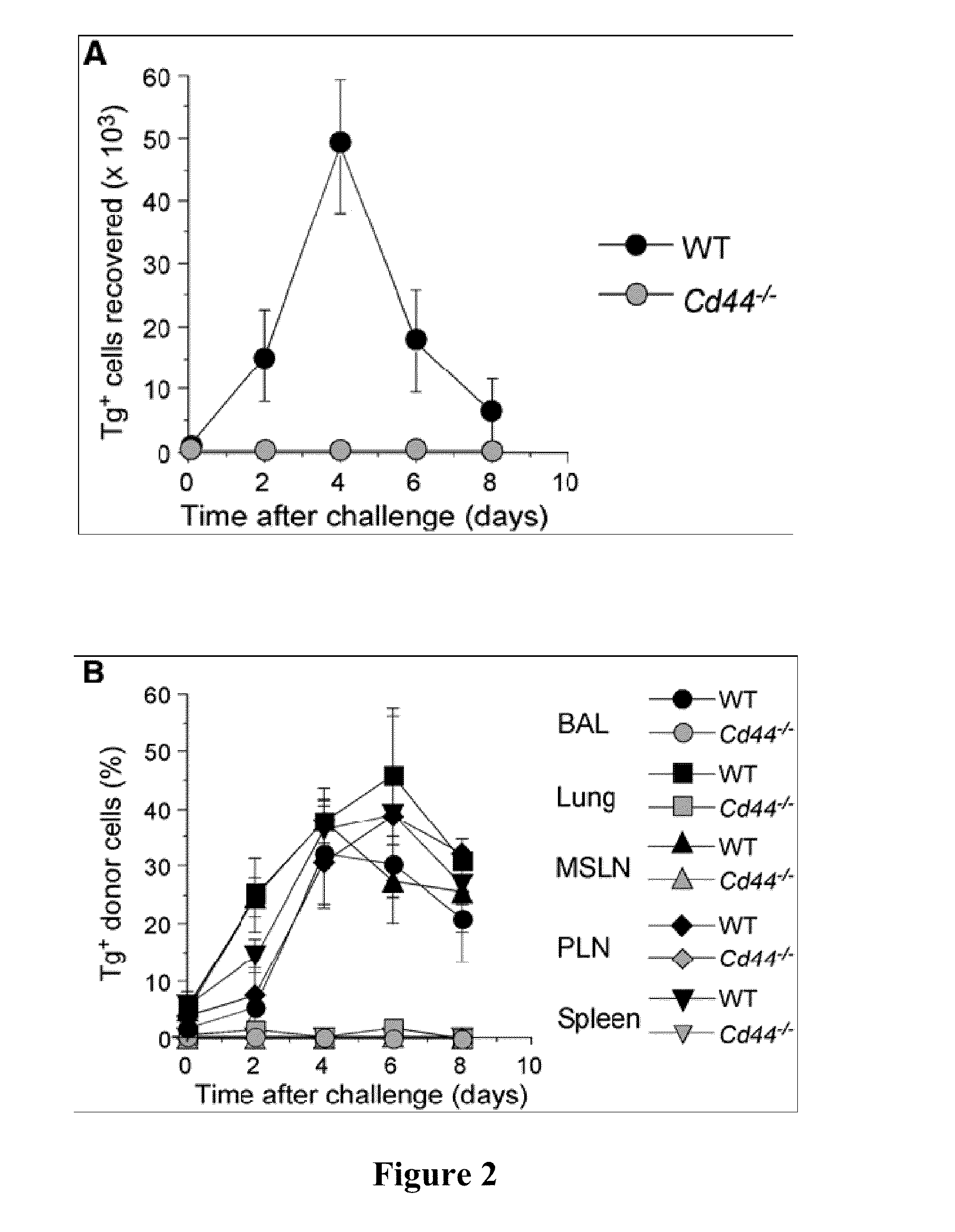 Method for regulating survival and memory of t helper 1 cells