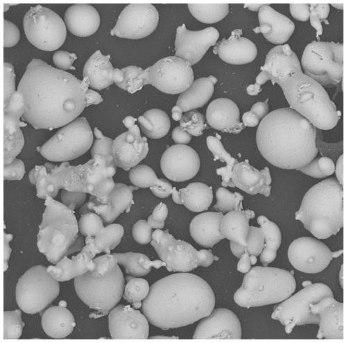 A kind of cermet nanocomposite structure feeding material for thermal spraying and its preparation method