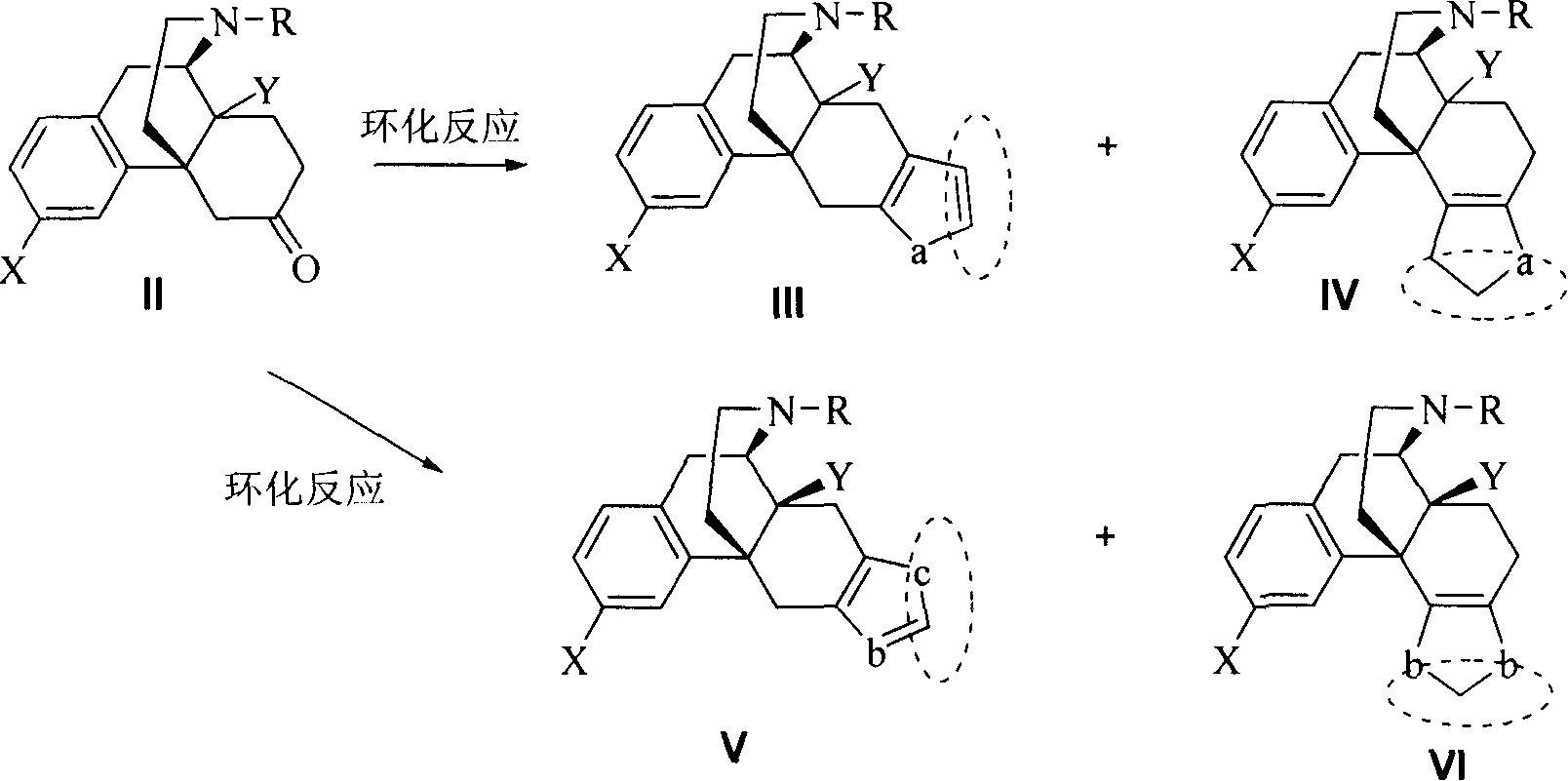 Heterocycle-fused morphinans compounds, preparation method and use thereof
