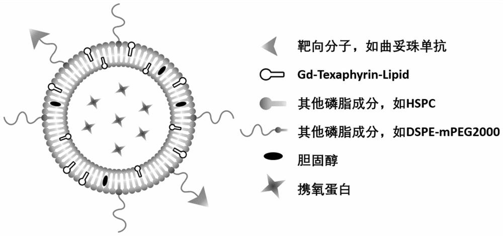A tumor-targeted radiotherapy-sensitized liposome nano-preparation and preparation method thereof