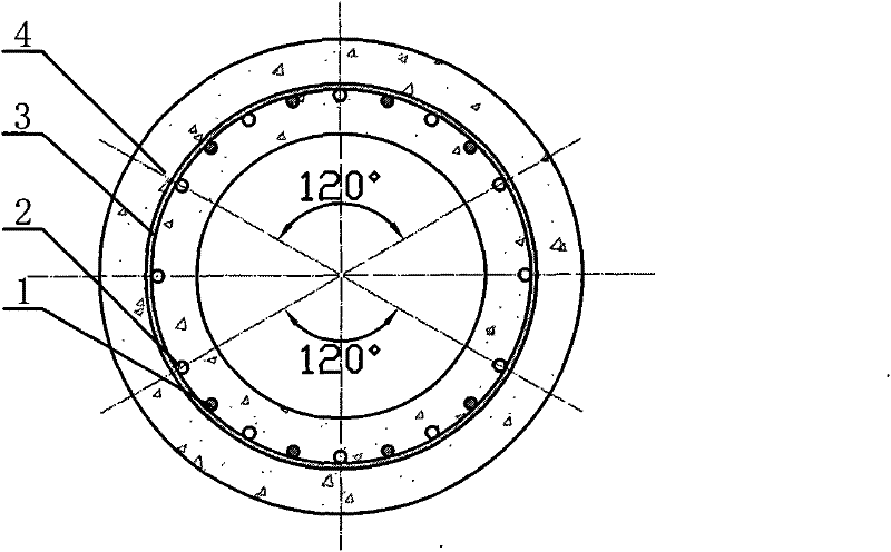 Horizontal force supporting pile and production process thereof