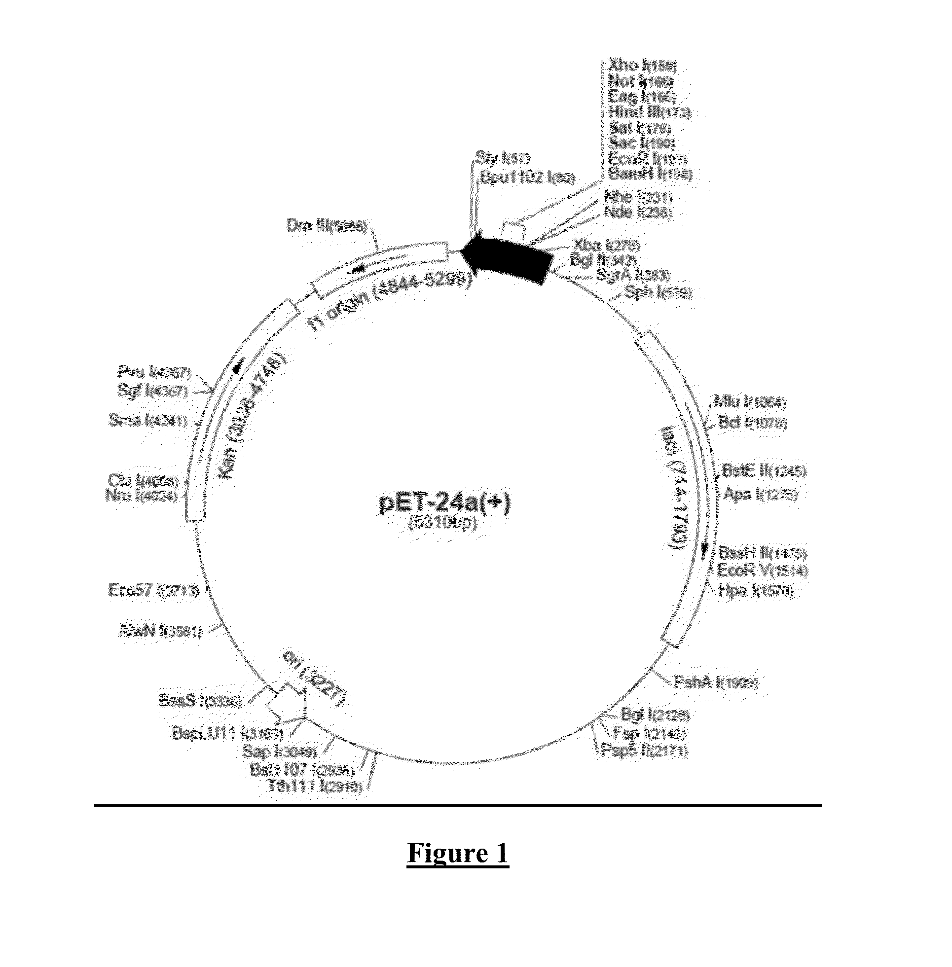 Composition and Methods for Treatment of Cancer