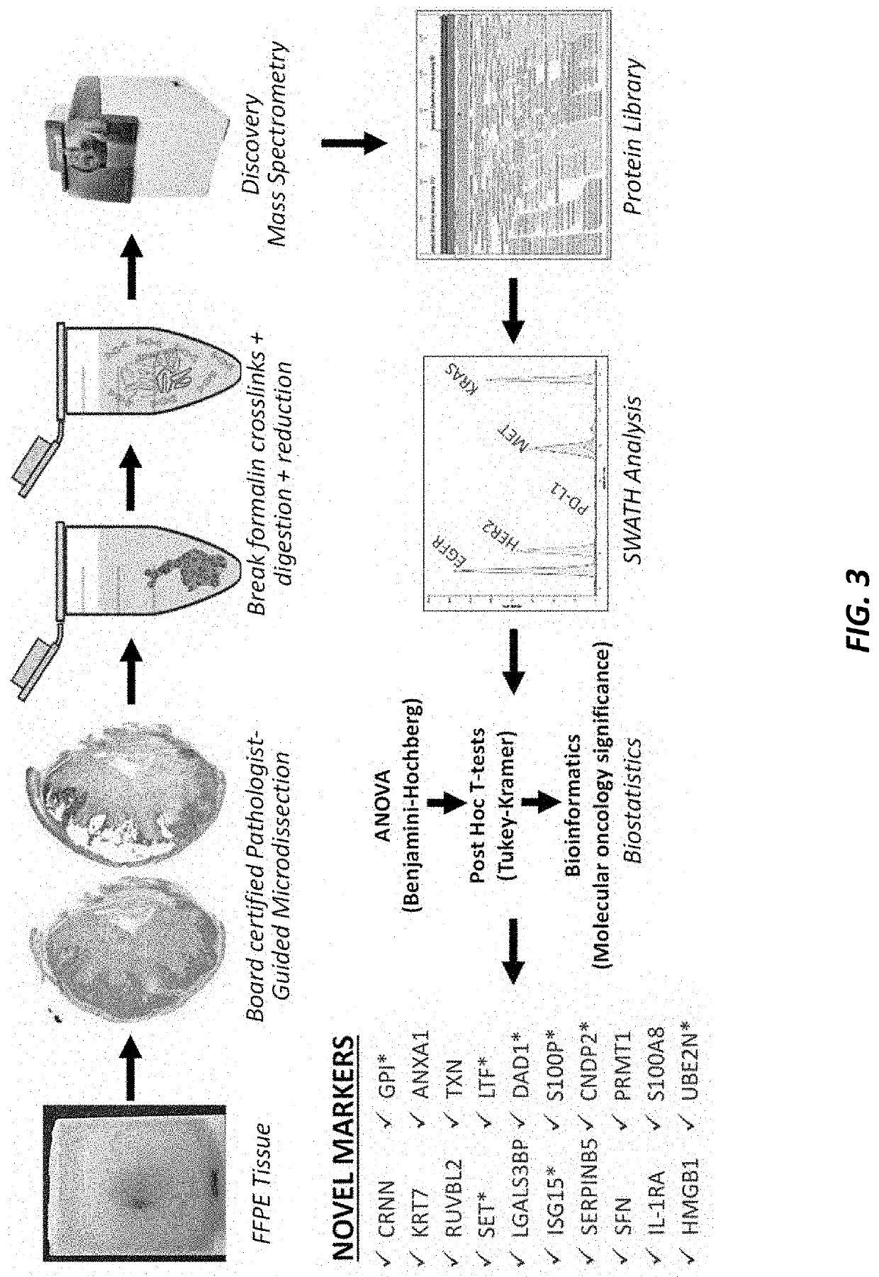 Systems and methods for barrett's esophagus pathogenesis and esophageal adenocarcinoma progression revealing markers