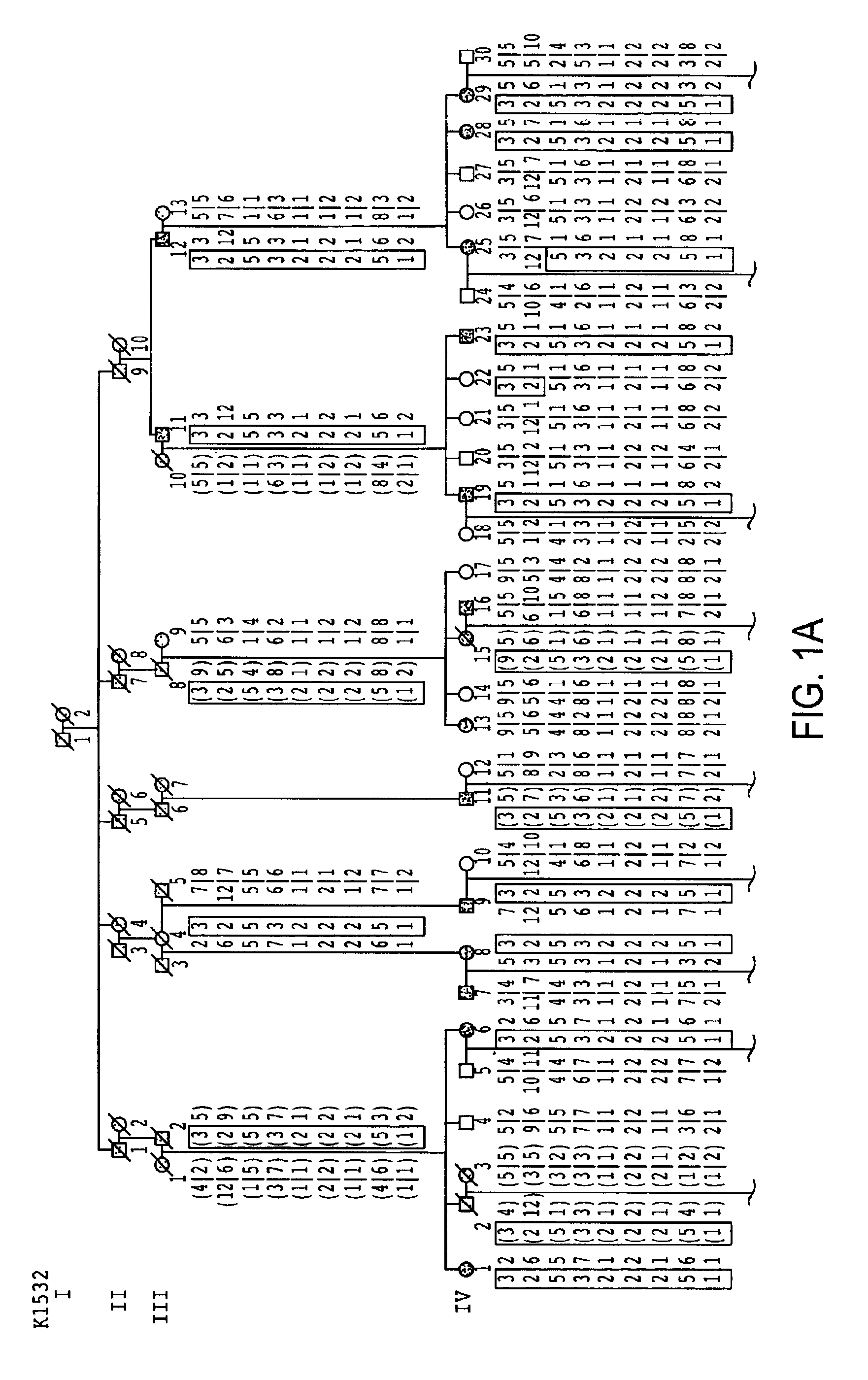 KVLQT1—a long QT syndrome gene