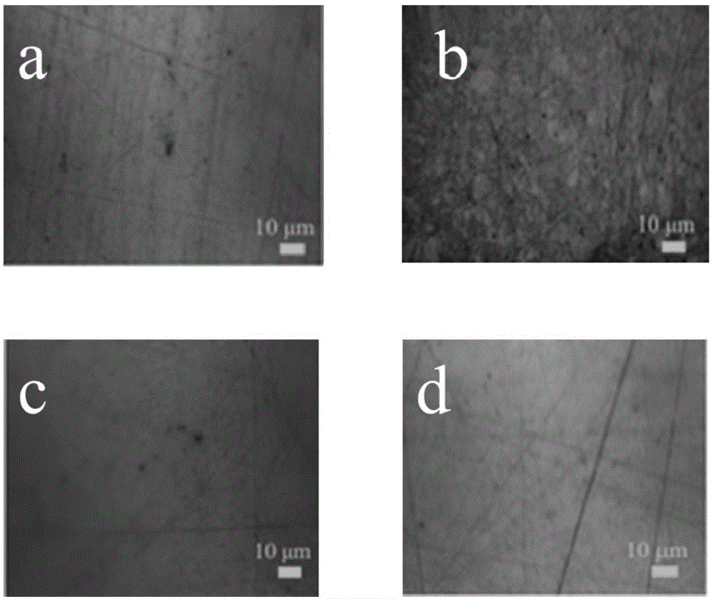 Preparation method for corrosion-resistant hydrophobic film on metal surface