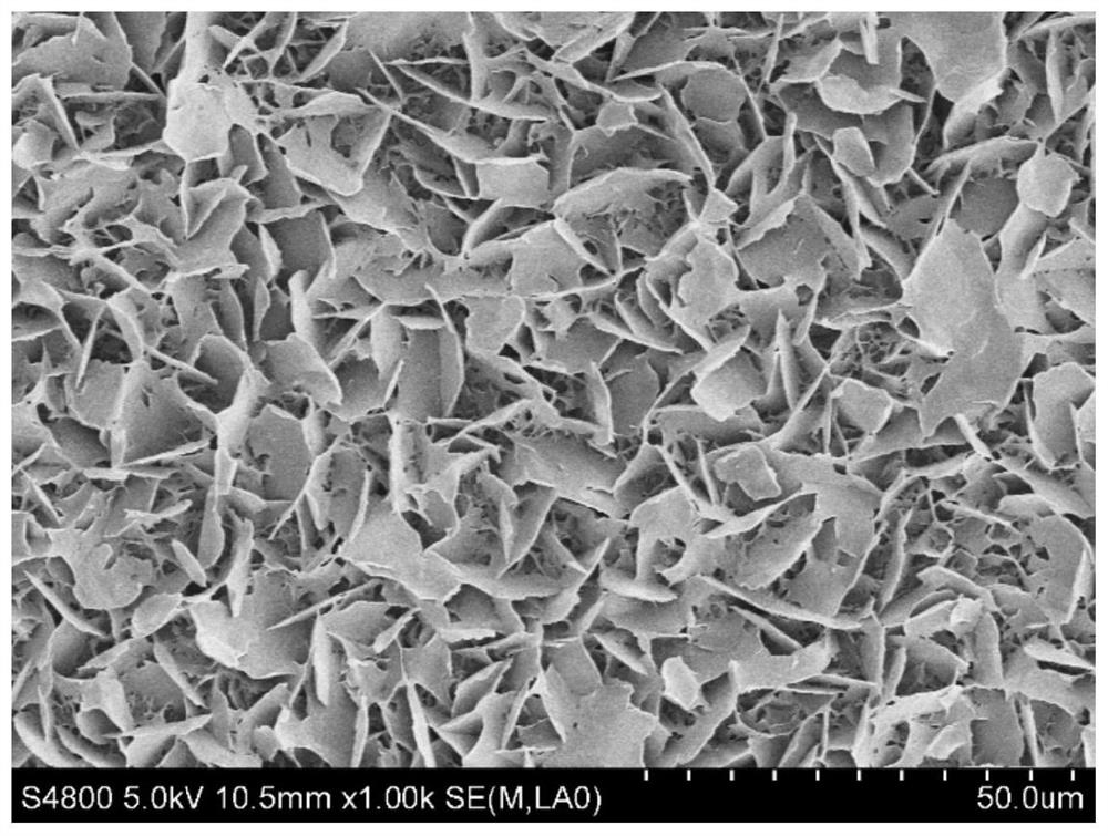 A biological antifouling coating with long-lasting superhydrophobic properties and preparation method thereof