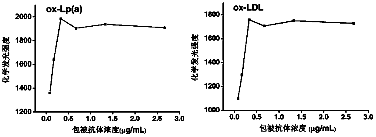 Chemiluminiscence imaging immunoassay method for simultaneously measuring oxidized lipoprotein (a) and oxidized low-density lipoprotein of human serum