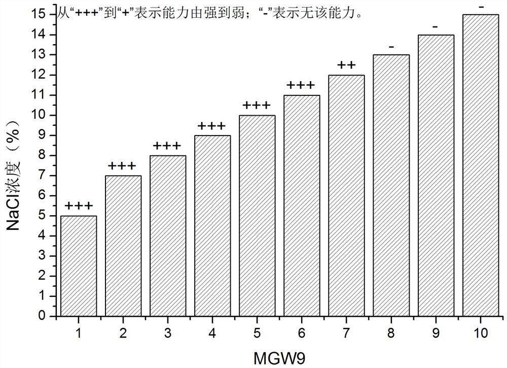 A kind of preparation and application method of seed biostimulant sb-mgw9