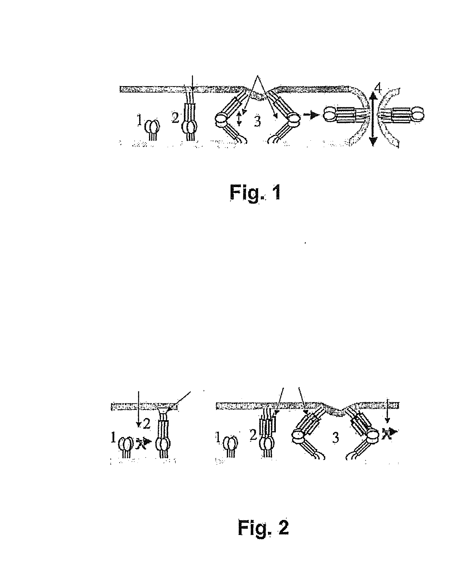 Non-proteolysable oligopeptides that inhibit glycoprotein gp41 of the aids virus