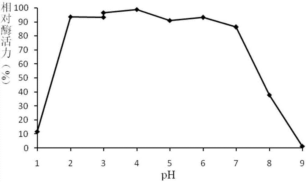 Fungus-derived acid protease 6749 as well as gene and application thereof