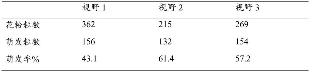 A method for improving the seed setting rate of cross pollination of white konjac and flower konjac