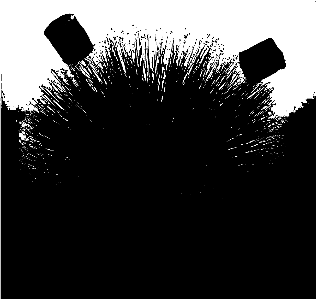 Ultralight ultra-amphiphilic type three-dimensional graphene foam material, and preparation method and application thereof