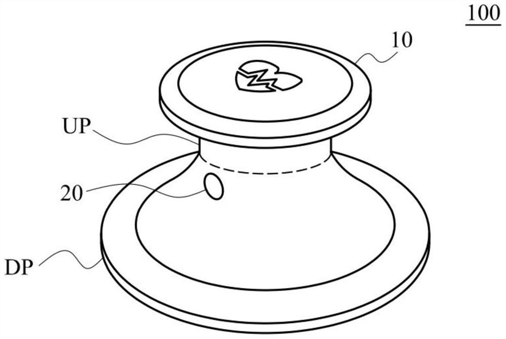 Auscultation device and auscultation method using auscultation device