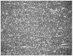 Ultrasonic chemical coloring method for stainless steel