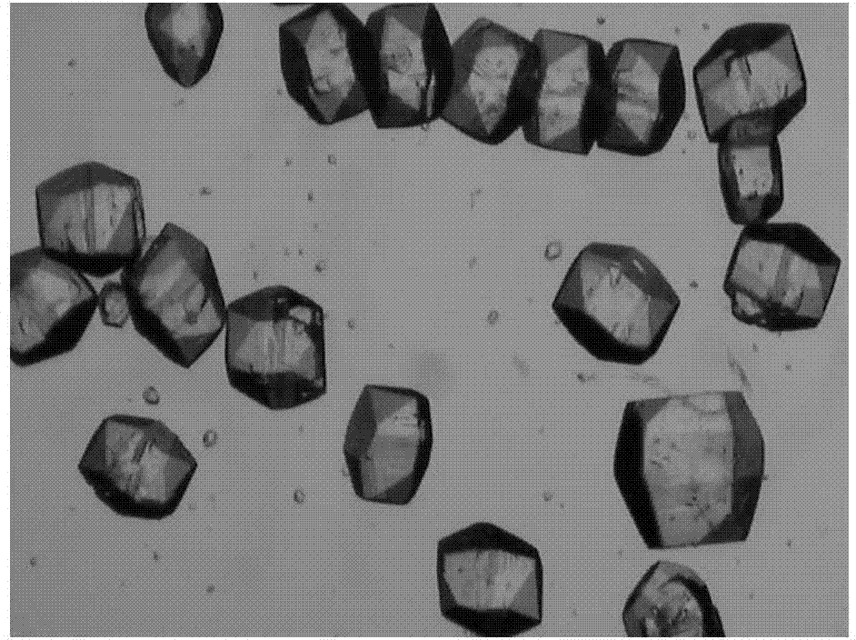 Preparation method of large-particle hexanitrohexaazaisowurtzitane explosive