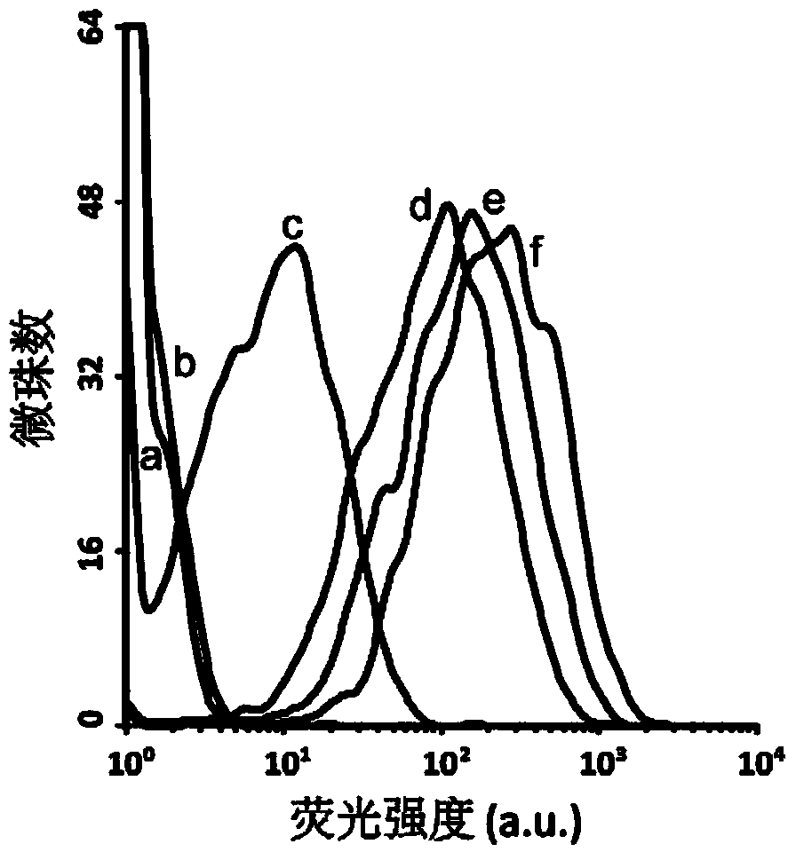 Aptamer AFB1-20 of aflatoxin B1 and application thereof