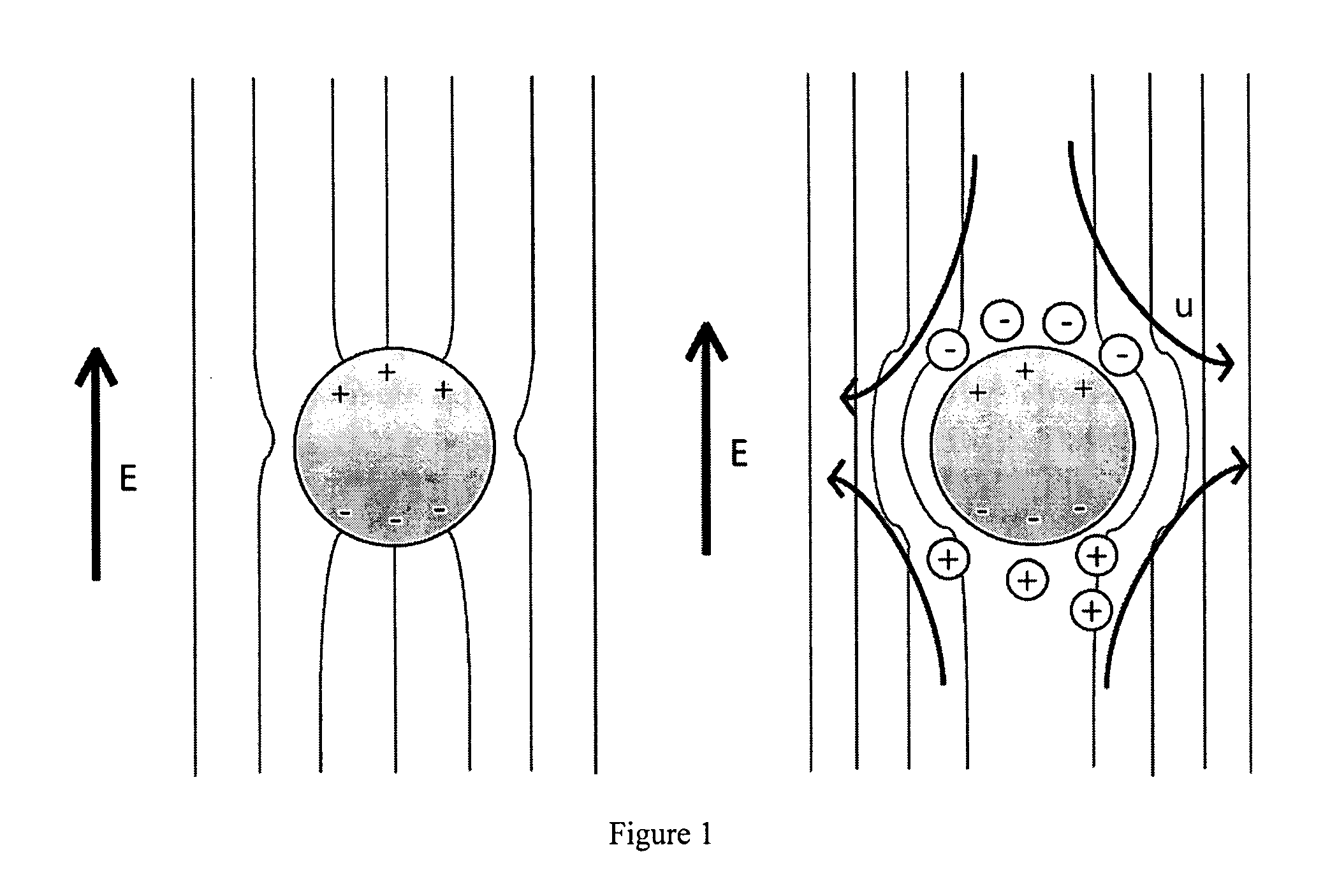 Coated metal structures and methods of making and using thereof
