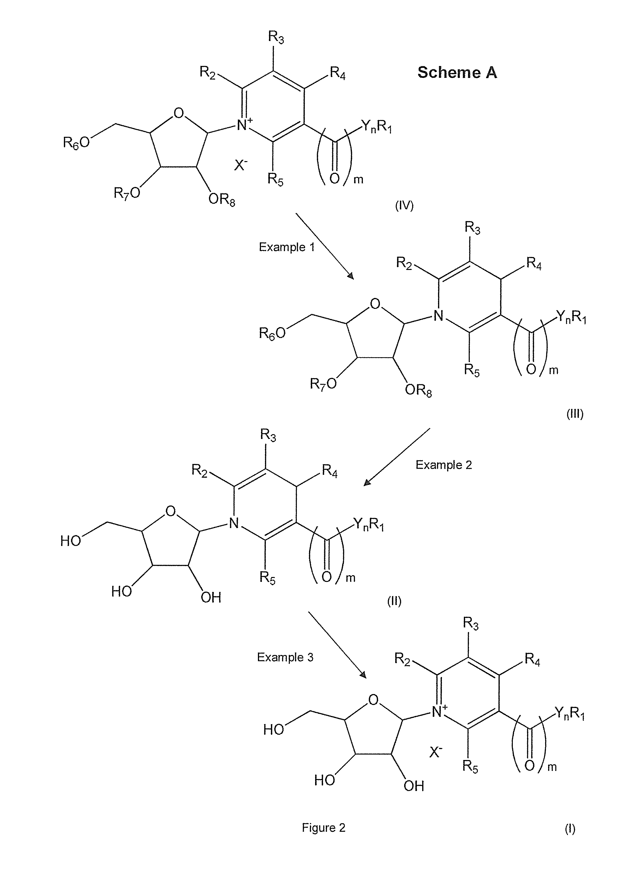 Methods of preparing nicotinamide riboside and derivatives thereof