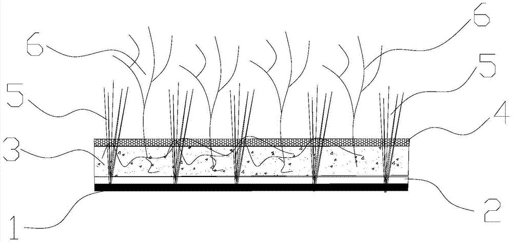 Composite turf of real grass and artificial grass and preparation method thereof