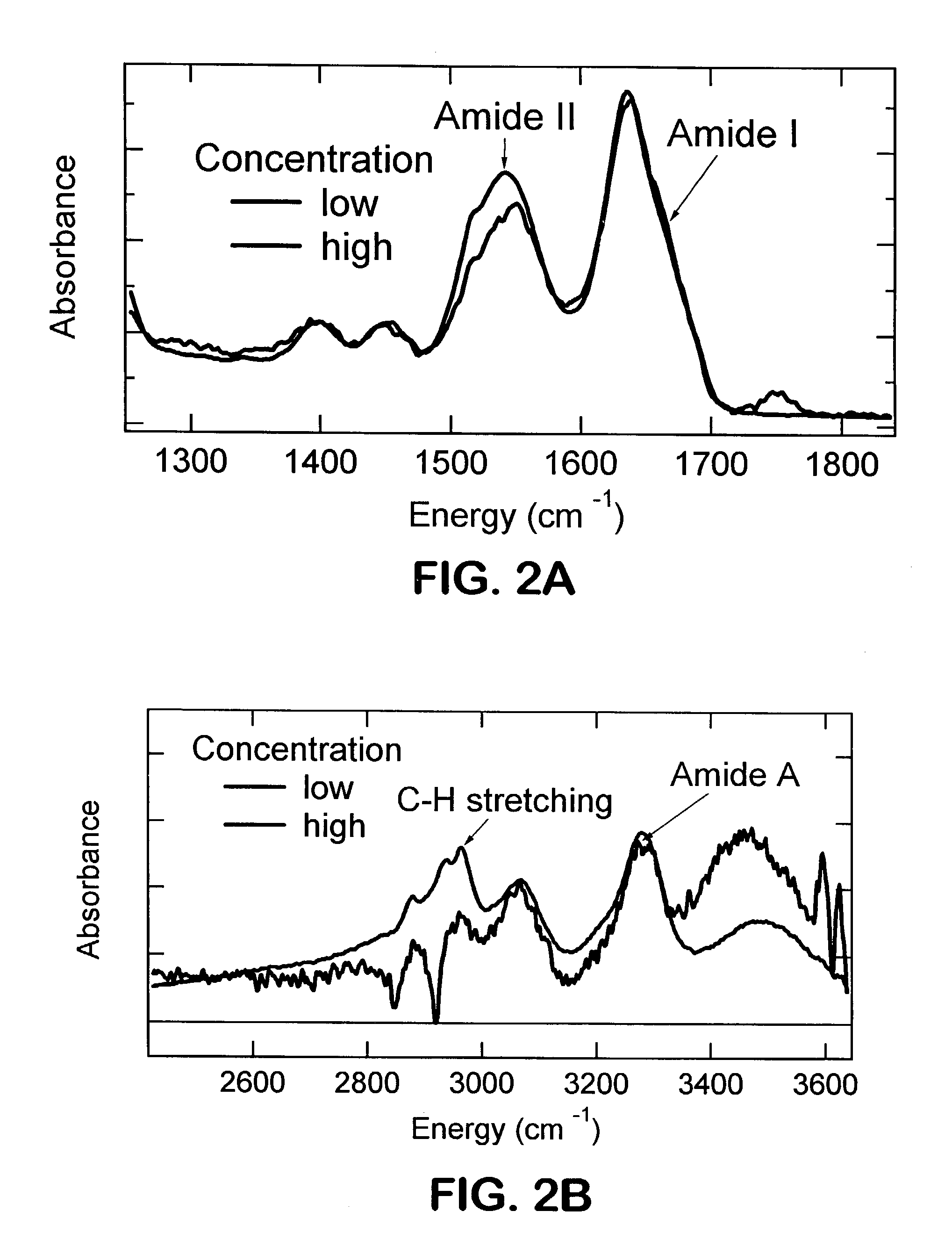 Single pass attenuated total reflection fourier transform infrared microscopy apparatus and method for identifying protein secondary structure, surface charge and binding affinity